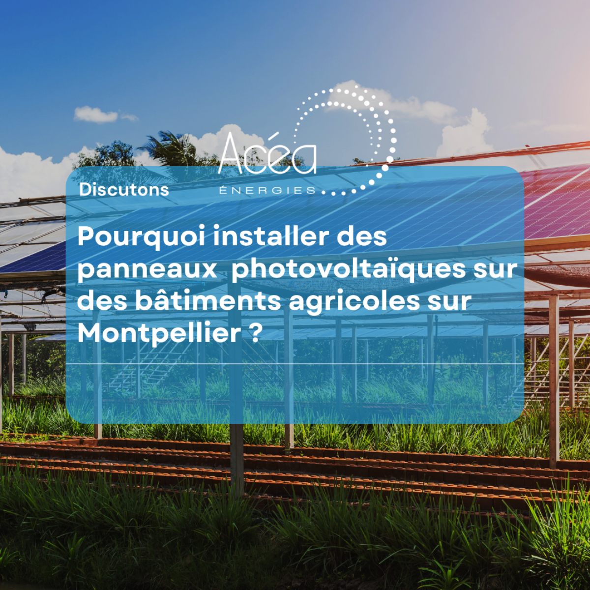 batiments agricoles panneaux solaires Acéa Energies 