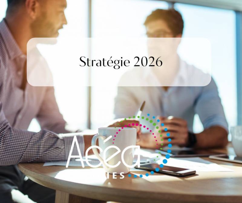 Quelle stratégie adopter en 2026 ?