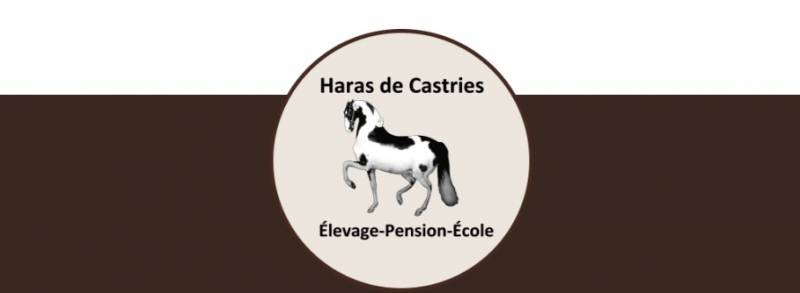 Elevage de chevaux et pensions Haras de Castries Montpellier
